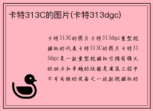 卡特313C的图片(卡特313dgc)