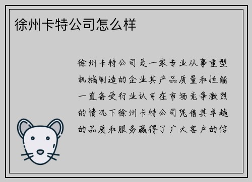 徐州卡特公司怎么样